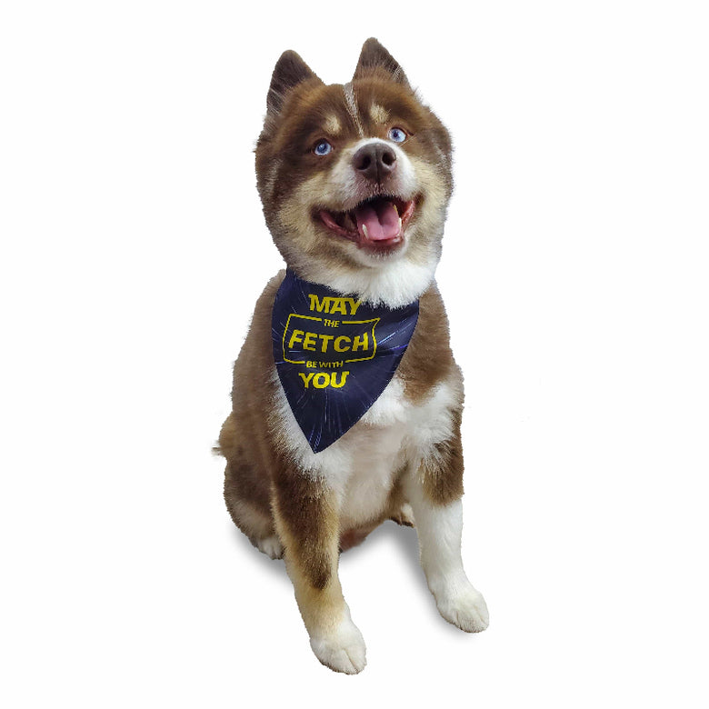 Barker's Bowtique Barker's Bowtique - May the Fetch be with You Dog Bandana - reversible: XS