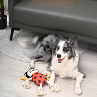 Puppy Garden Spring Ladybug Plush Squeaky Rope Tug Dog Toy