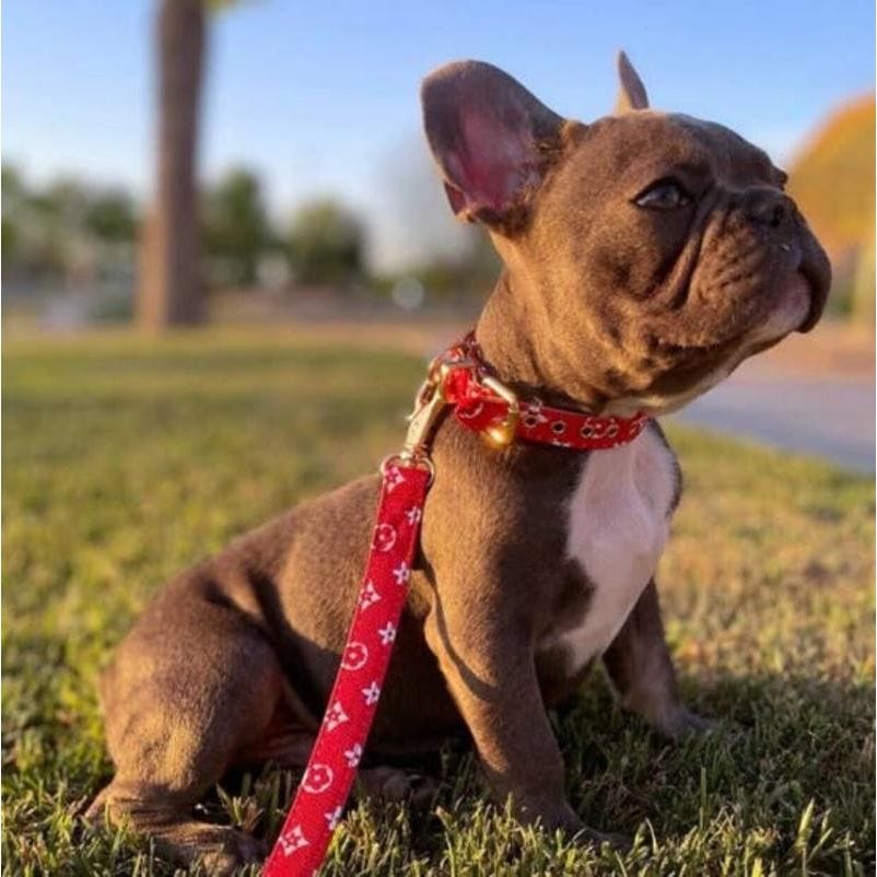 BARK by DOG Leashes Lauren Luxury Red Pet Leash