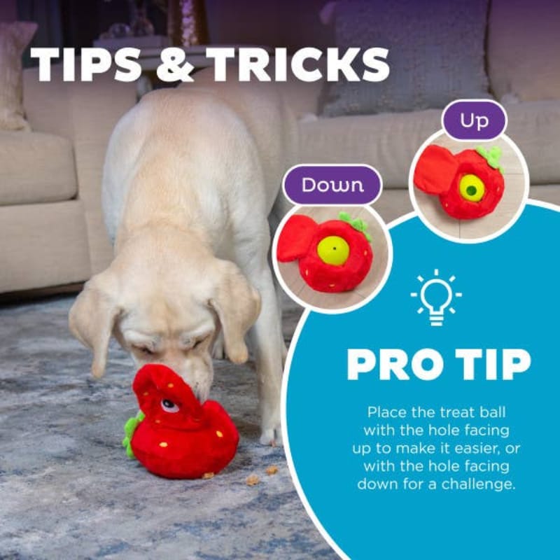 Outward Hound dog toys Fruity Findz Red Strawberry Interactive Ball Plush Dog Toy