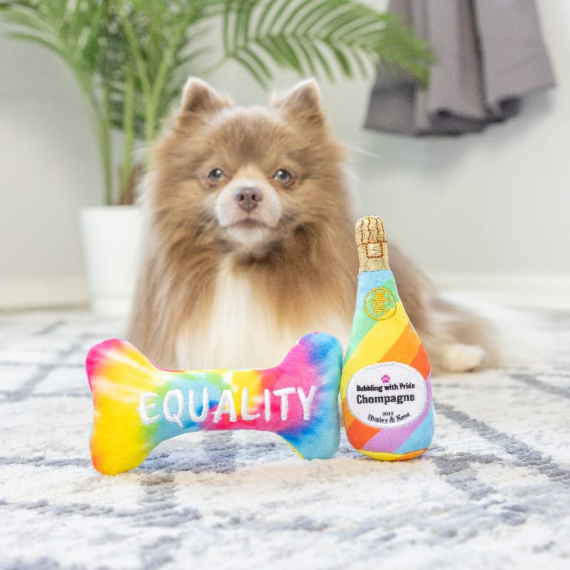 Huxley & Kent dog toys Tiny Tuff Out For Brunch Chompagne and Bone Plush Dog Toys - 2pk