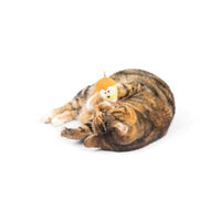 Kookie Korn Halloween Fall Season Plush Flinger Cat Toy