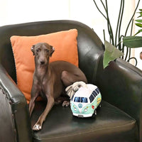 Hugsmart Products Inc Dog Toys Volkswagen Van Beach Rope Plush Squeaky Dog Toy