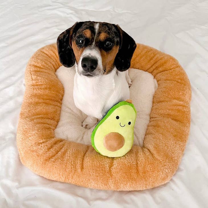 TONBO pet beds Toast Pet Bed with Avocado Toy