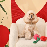 Hugsmart Products Inc Dog Toys Woof Love Vday Rose Cluster Rope Plush Dog Toy Set