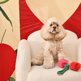 Hugsmart Products Inc Dog Toys Woof Love Vday Rose Cluster Rope Plush Dog Toy Set