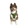 Barker's Bowtique Barker's Bowtique - Hip Doggie-Old Header Cards- EZ Step-In Harness -Green: XXS