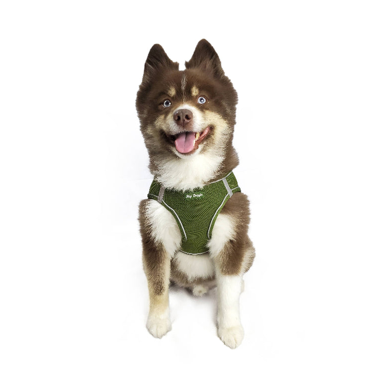 Barker's Bowtique Barker's Bowtique - Hip Doggie-Old Header Cards- EZ Step-In Harness -Green: XXS