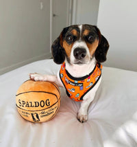 Mina + Pup Harnesses Got Game? Basketball and Sports Orange Adjustable Pet Harness