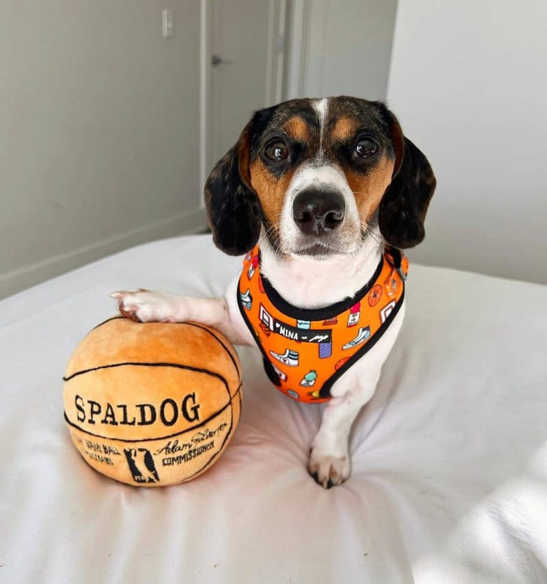 Mina + Pup Harnesses Got Game? Basketball and Sports Orange Adjustable Pet Harness