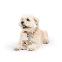 Huxley & Kent Dog Toys Tiny Tuff Toto's Pawdka Plush Squeak Dog Toy