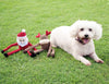 Christmas Holiday Crinkle Santa Plush Squeaky Dog Toy - 3 Sizes
