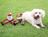 Christmas Holiday Crinkle Santa Plush Squeaky Dog Toy - 3 Sizes