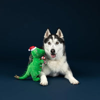 Christmas Holiday Rex-Mas Is Here! Plush Squeaky Dog Toy