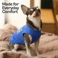 With A Shirt This Awesome Blue Embroidered Dog Tee