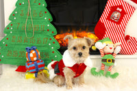 A small tan dog wearing a red and white Santa outfit sits in front of a fireplace with holiday decorations, including a green Christmas tree advent calendar, a red-and-white striped stocking, and an elf plush toy.