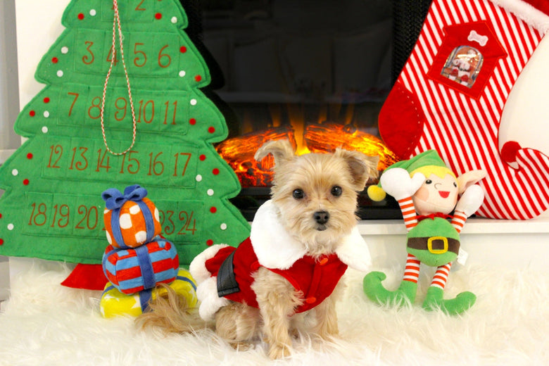 A small tan dog wearing a red and white Santa outfit sits in front of a fireplace with holiday decorations, including a green Christmas tree advent calendar, a red-and-white striped stocking, and an elf plush toy.