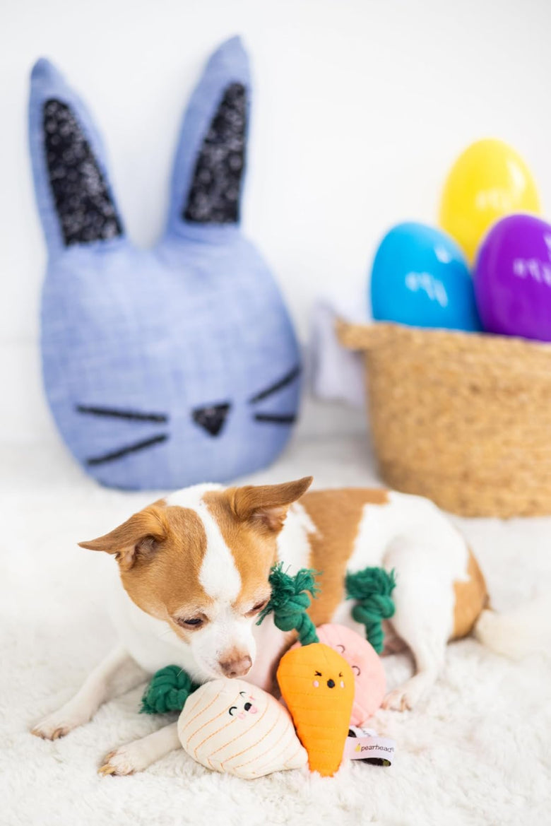 Spring Veggies Plush Squeaky Dog Toy Set - 3 Pk