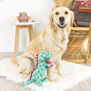 XO Rex Hearts with Pink Gift Plush Squeaky Dog Toy