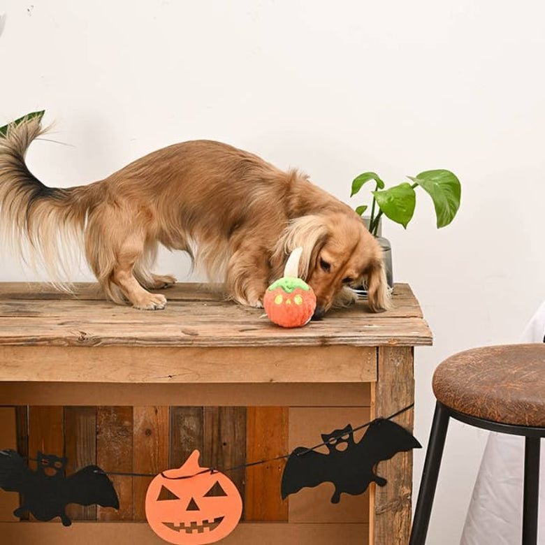 Hugsmart Products Inc dog toys Howloween Night Candy Apple Ball Dog Toy
