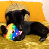 Huxley & Kent dog toys Rainbow Pride Plush Squeaky Donut Dog Toy - 2 Sizes