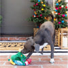 Pet Shop by Fringe Studio dog toys Christmas Tree Ready Set Glow Hide & Seek Interactive Dog Toy Set