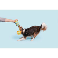 BARK dog toys Funflower Seeds Daisy Plush Rope Dog Toy