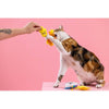 Petshop by Fringe Studio Cat Toys Purr-fect Weather Plush Summer Cat Toy Set - 3pc