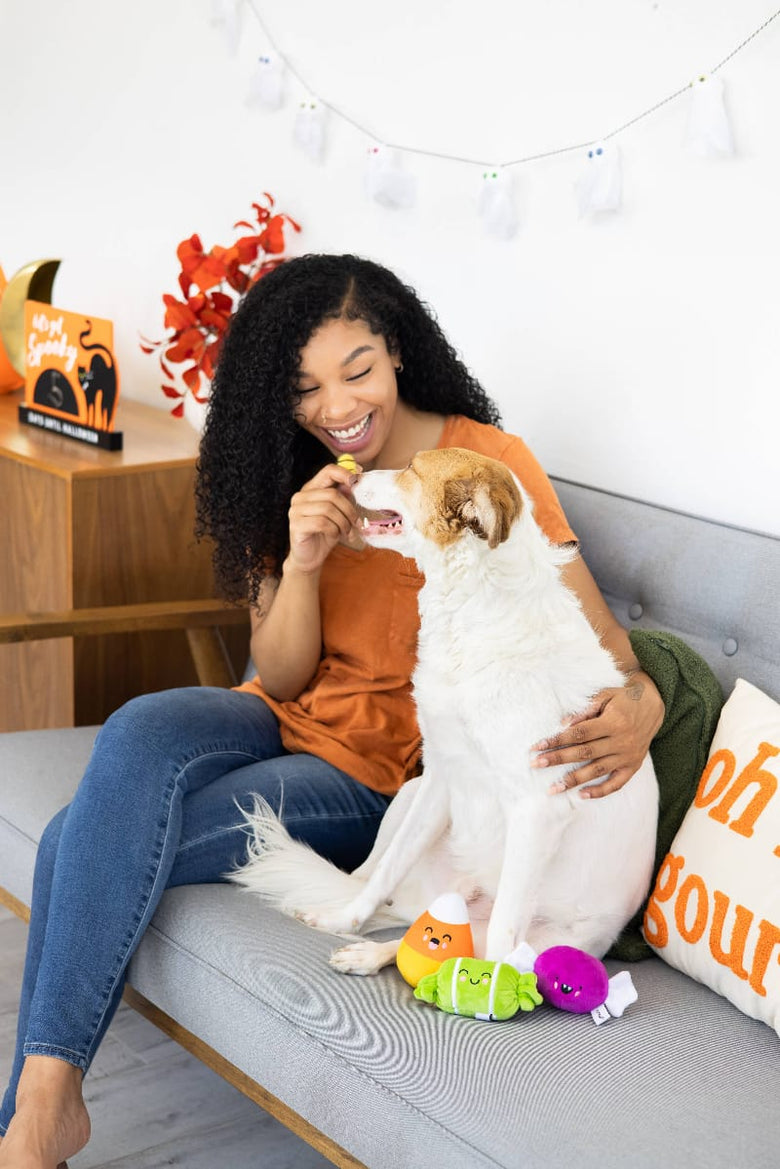 Pearhead, Inc. dog toys Halloween Trick Or Treat Candy Squeak Plush Dog Toy Set - 3 Pc