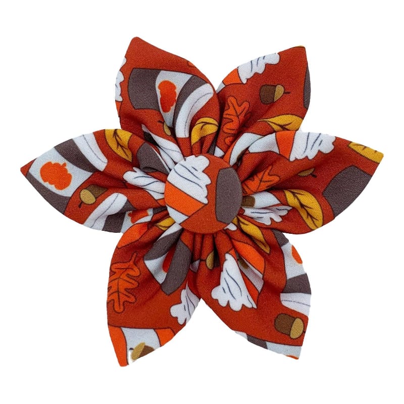 Huxley & Kent Bow Tie SM Pupkin Spice Latte Pinwheel Pet Collar Attachment - 2 Sizes