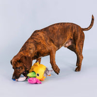 Petshop by Fringe Studio Dog Toys Into The Deep Hide & Seek Interactive Plush Squeak Dog Toy Set - 4 Pc