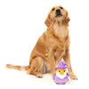 FuzzYard dog toys Sirius Quack Magical Purple Duck Plush Squeak Dog Toy - 2 Sizes