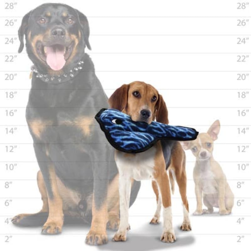 Tuffy Dog Toys - VIP Products dog toys Tuffy Ocean Blue Stingray Durable Tough Squeaky Dog Toy