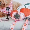 SASSY WOOF Waste Bag Dispenser Mon Cherry (Fruits) Pink Dog Waste Bag Holder