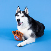 Catch You're Out Baseball Mitt Sports Plush Squeaky Dog Toy