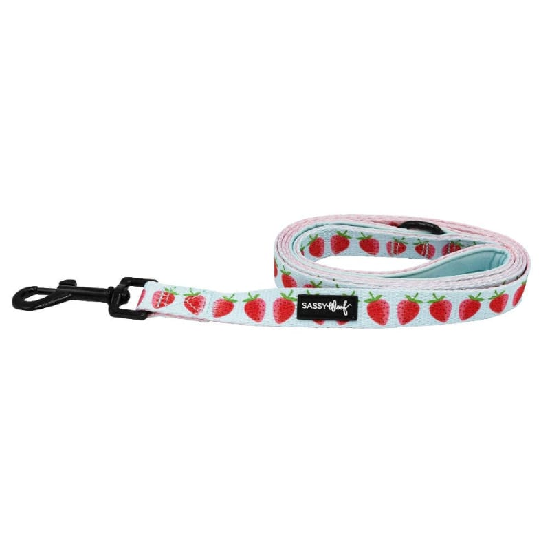 SASSY WOOF Leashes I Woof You Berry Much (Fruits) Light Blue & Pink Dog Leash