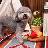 Hugsmart Products Inc dog toys Picnic Time Cheese Board Interactive Plush Dog Toy