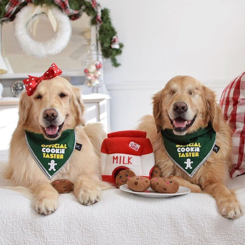 Santa Milk & Cookies Burrow Interactive Christmas Holiday Dog Toy Set - 4 Pc