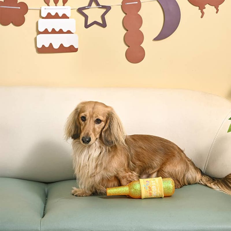 Hugsmart Products Inc dog toys Yappy Birthday Wine TPR Rubber Bottle Dog Toy