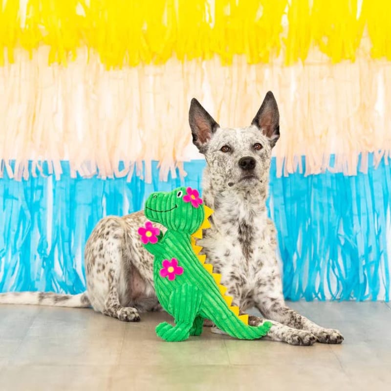 Pet Shop by Fringe Studio dog toys Thorny But Cute T Rex with Spring Flowers Plush Squeak Dog Toy