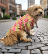 Doggie Design, Inc Collared Shirts Hawaiian Citrus Slices Colorful Camp Dog Shirt