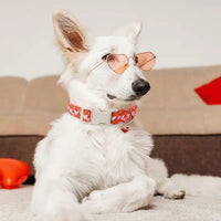 TM - PETWONG Collars "You Are Loved" Hearts with Charm Red Dog Collar