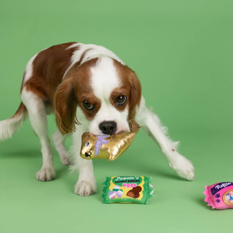 Petshop by Fringe Studio dog toys Easter Eggstra Sweets Spring Small Plush Squeak Dog Toy Set - 3 Pc