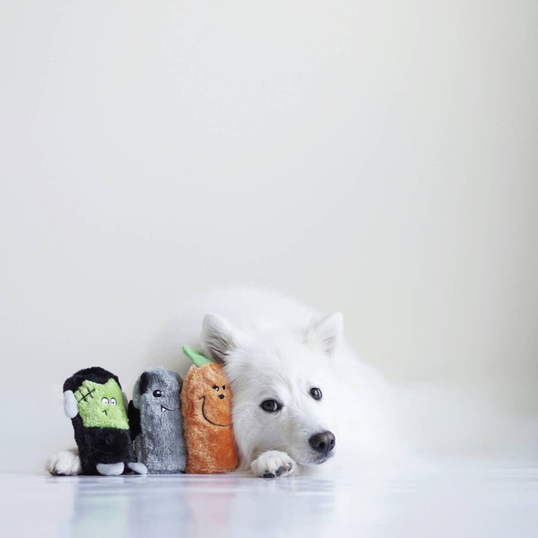 Halloween Squeakie Buddies Plush Dog Toy Set - 3 Pc