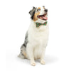 Christmas Holiday Green / Red Ho Ho Ho Bow Tie Pet Collar Attachment - 3 Sizes
