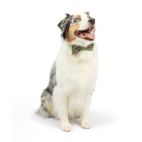 Christmas Holiday Green / Red Ho Ho Ho Bow Tie Pet Collar Attachment - 3 Sizes