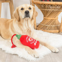 Pet Shop by Fringe Studio dog toys Hearts on Fire Plush Red Rope Dog Toy