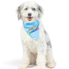 Huxley & Kent Huxley & Kent - Party Time Blue Bandana 2.0: Blue / Small