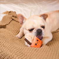 Hugsmart Products Inc dog toys Autumn Tailz Pumpkin Play Plush Squeak Dog Toy Set - 3 Pc