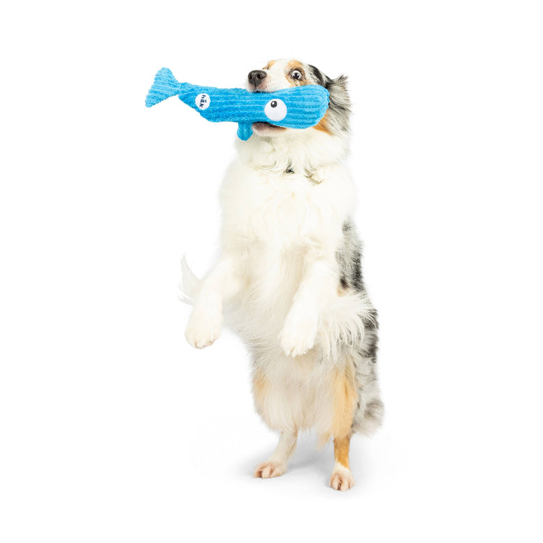 Huxley & Kent Huxley & Kent - Fetchies® Wilma Whale Dog Toy: Small